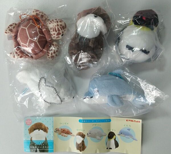 キタンクラブ かわいいかわいいぬいぐるみ 水族館のいきもの 全5種セット
