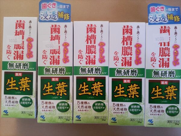 生葉 薬用歯磨き 無研磨タイプ 95g×5本 歯磨き粉