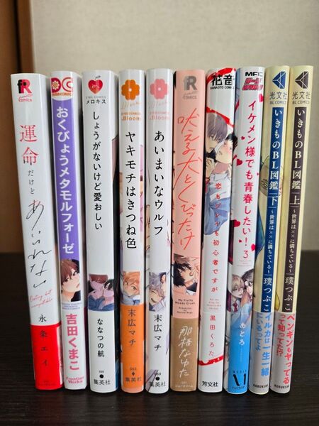 【おまけつき】BLコミック まとめ売り 10冊