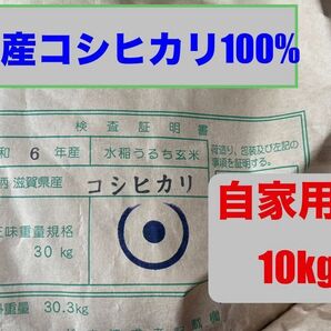 滋賀県産コシヒカリ100% 自家用米 10kg