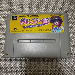 美少女レスラー列伝 ブリザードYuki乱入!! SFC