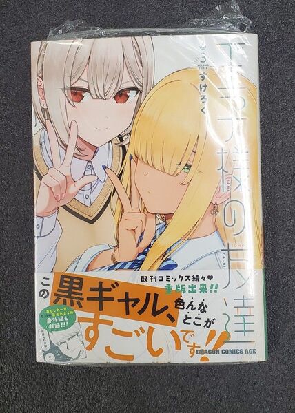 王子様の友達 3巻