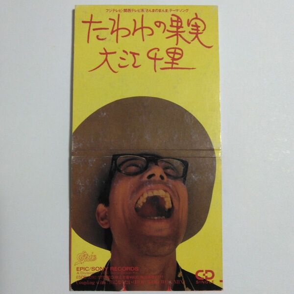 たわわの果実/大江千里【8cm】シングルCD