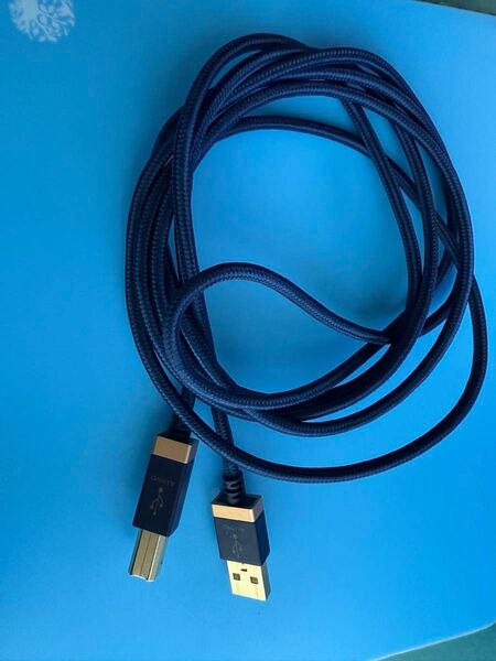 エレコムオーディオ用USBケーブル TypeA-TypeB 2m DH-20B