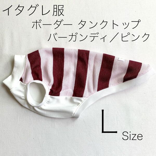 イタグレ服 タンクトップ ボーダー バーガンディ/ピンク Lサイズ