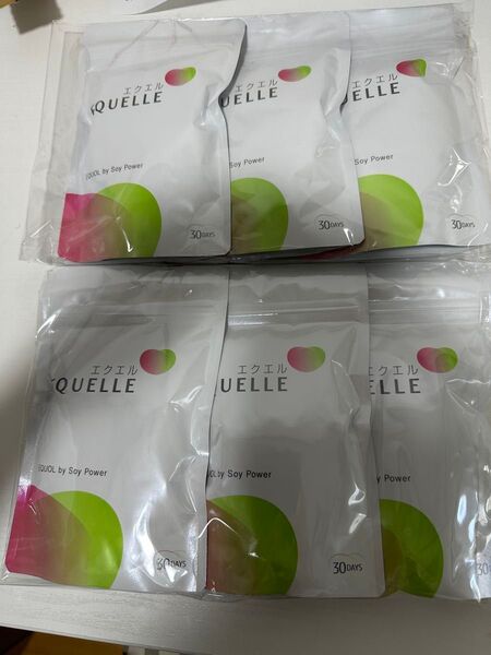 エクエル EQUELLE 30日分 6袋セット
