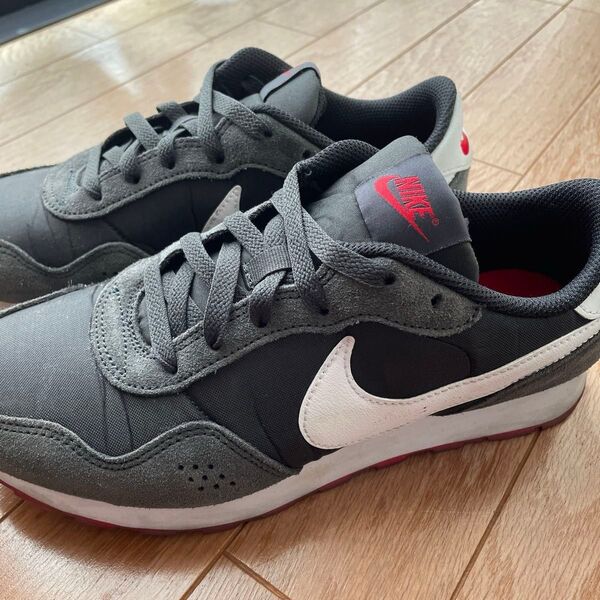 NIKEスニーカー 25cm