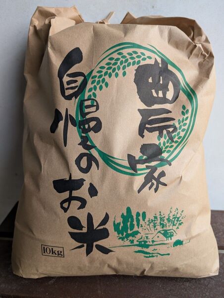 【農家直送】にこまる 米 約10kg 令和6年度産 玄米
