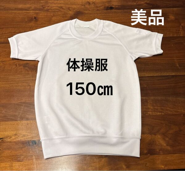 体操服 体育着 150cm 半袖 スポーツ おけいこ スポーツ ポケット 白 ホワイト