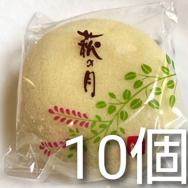 菓匠三全『仙台銘菓 萩の月 10個入り』