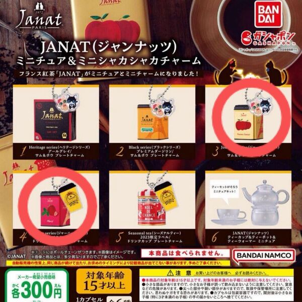 JANAT ジャンナッツ ミニチュアキーホルダー シャカシャカチャーム 2個
