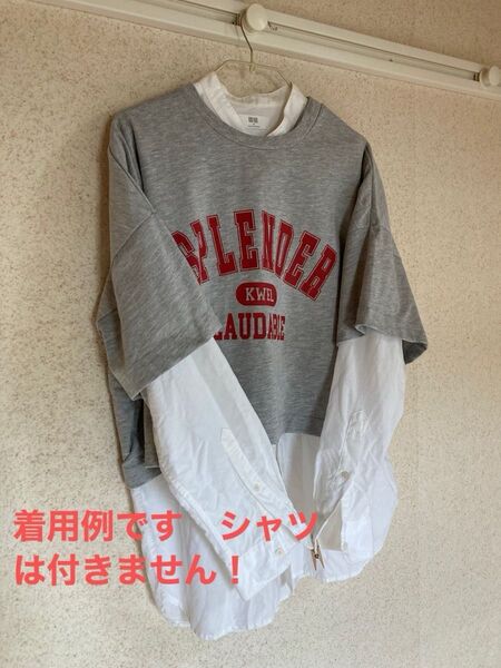 Tシャツ グレー 半袖Tシャツ ロゴTシャツ