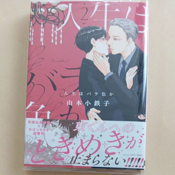 人生はバラ色か 2 山本小鉄子