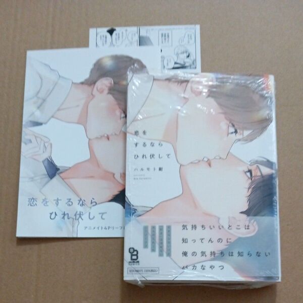 恋をするならひれ伏して ハルモト紺 アニメイト リーフレット ぺーパー付