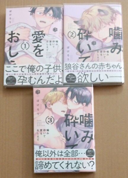 噛み砕いて愛をおしえて 1.2.3巻 3冊セット 完結ぽけろう