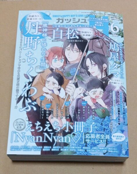 GUSH (ガッシュ) 2025年 06月号 ハガキ 応募券切り取り済