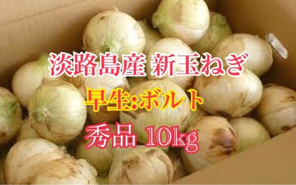 淡路島産新玉ねぎ 玉ねぎ 秀品 10kg 送料込み 農家直送