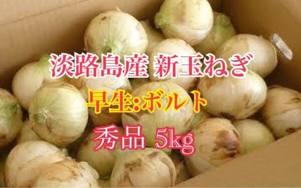 淡路島産新玉ねぎ 玉ねぎ 秀品 5kg 送料込み 農家直送
