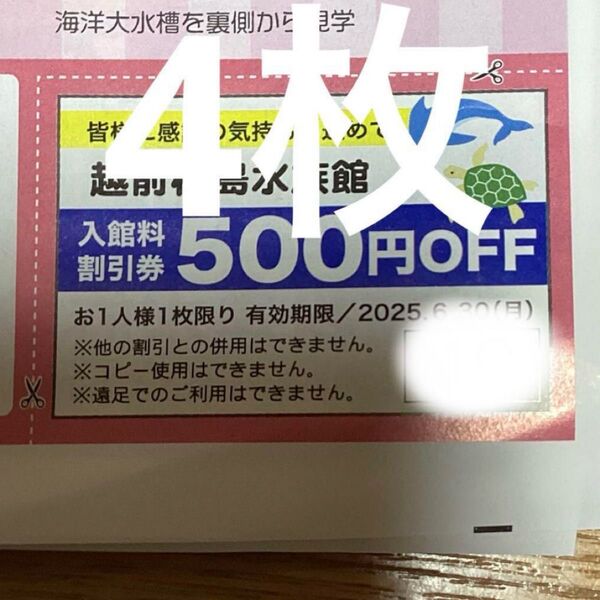 越前松島水族館 入館料500円割引券 4枚