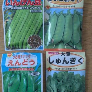 野菜の種 いんげん豆 スナップエンドウ 春菊 絹さや
