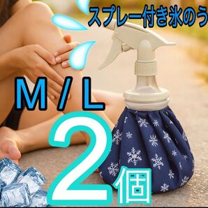 スプレー付氷のう 2個セット 部活 アウトドア 熱中症 犬 お散歩