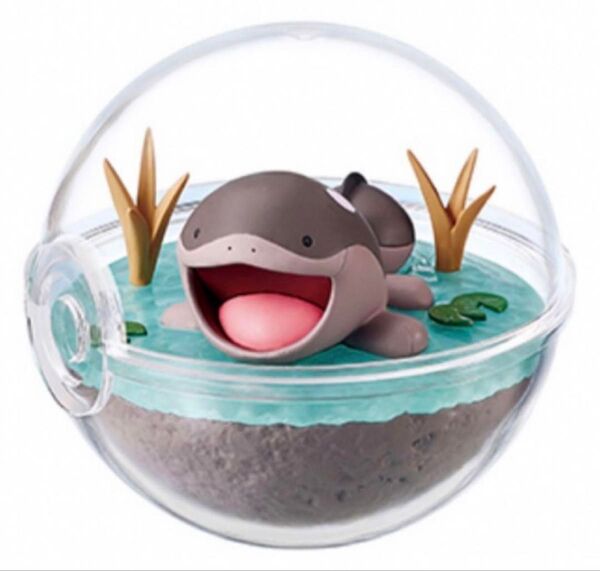ポケモン テラリウム コレクション ドオー