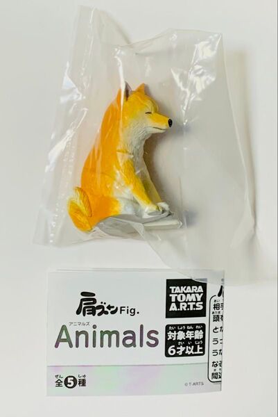 肩ズンFig. アニマルズ 柴犬