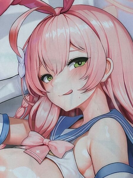 浦和花子似 抱き枕カバー 2WT 160x50cm