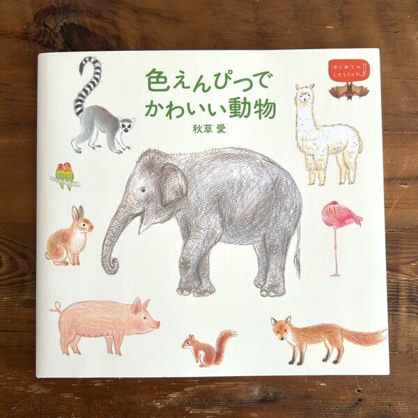 色えんぴつでかわいい動物 (はじめてのLesson) 秋草愛/著
