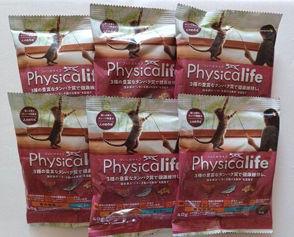 フィジカライフ 室内猫用 40g×6袋セット