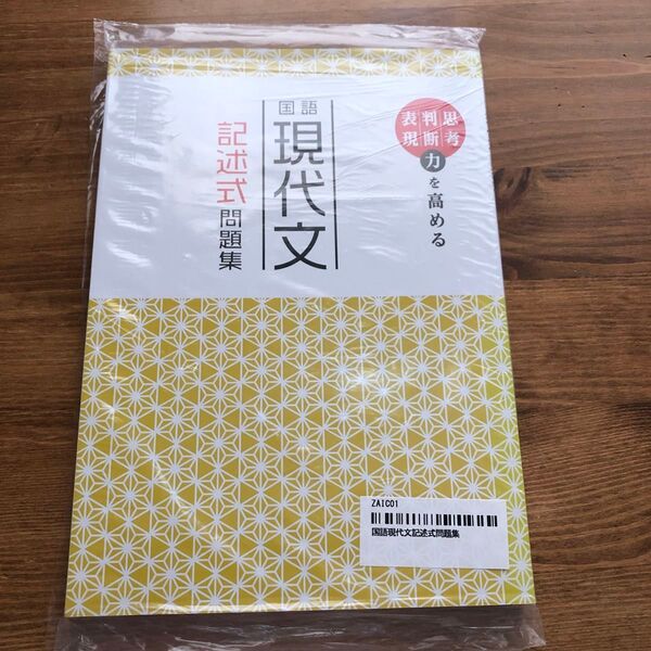 新品未開封★思考力判断力表現力を高める国語現代文記述式問題集★解答解説編セット