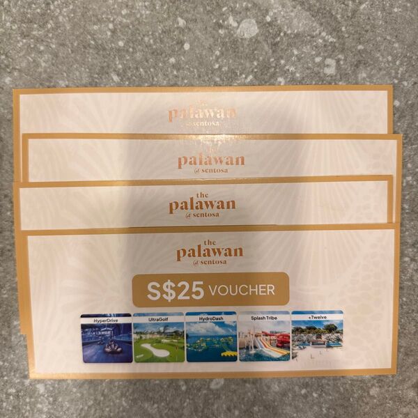 シンガポール palawan パラワン セントーサ バウチャー 金券