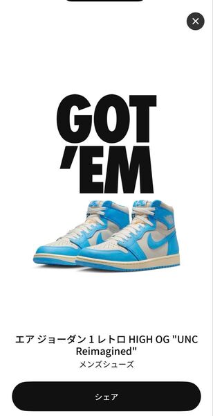 Nike Air Jordan 1 High OG UNC Reimagined US10 28.0cm ナイキ エアジョーダン