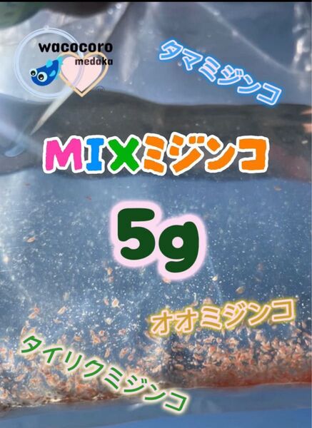 贅沢♪フリマ限定!★即決1300円☆MIXミジンコ飼育水5g以上混ざってます☆タマミジンコ・タイリクミジンコ・オオミジンコ