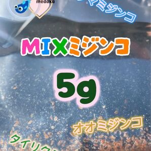 贅沢♪フリマ限定!★即決1300円☆MIXミジンコ飼育水5g以上混ざってます☆タマミジンコ・タイリクミジンコ・オオミジンコ