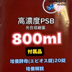高濃度PSB光合成細菌800ml+エビオス錠20錠☆培養可能種☆