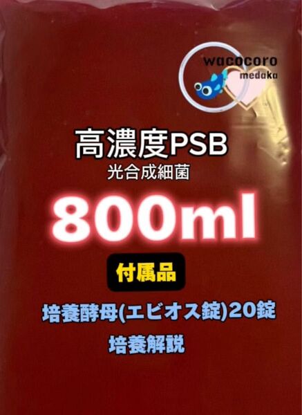 高濃度PSB光合成細菌800ml+エビオス錠20錠☆培養可能種☆