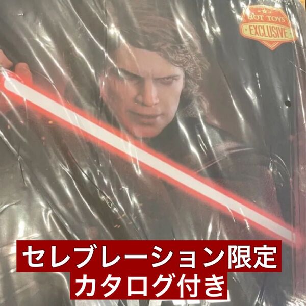 ホットトイズ アナキン アルチザン セレブレーション 限定 1500体 hottoys ダースベイダー