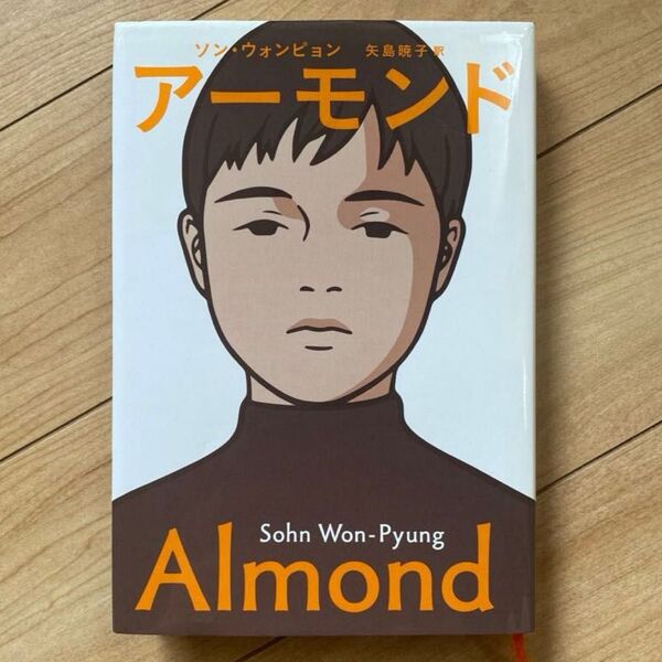 アーモンド 小説 ソンウォンピョン/著 矢島暁子/訳
