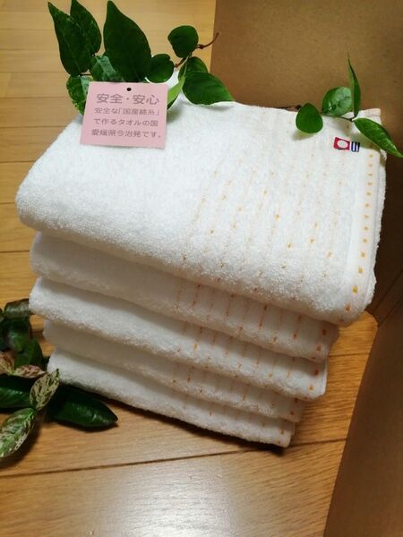 今治ブランド ハーフサイズバスタオル5枚 ホワイト 34x120cm