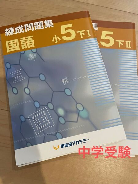 練成問題集 国語 小5 下1.2 中学受験 中学入試 早稲田アカデミー 2冊セット