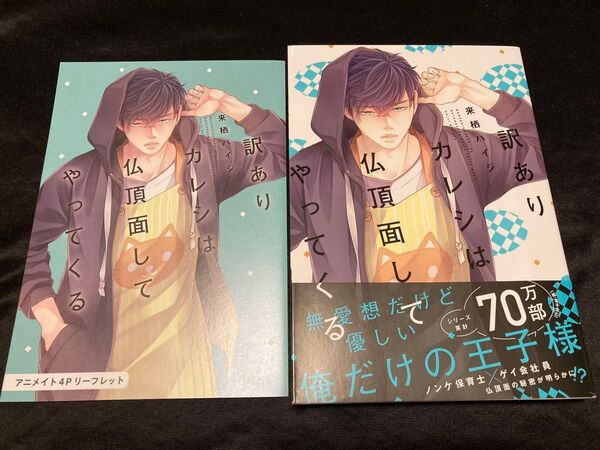 来栖ハイジ カレシは仏頂面してやってくる アニメイト特典リーフレット付