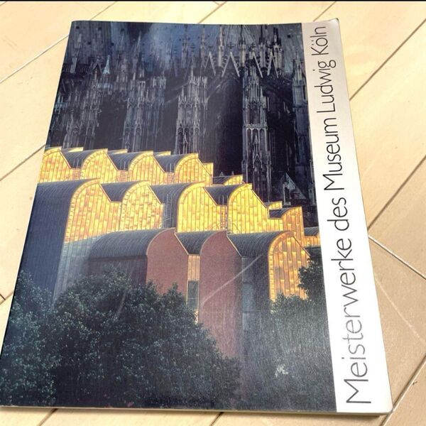 ルートヴィヒ美術館展 1995年/20世紀美術の挑戦