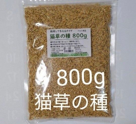 【40回分】猫草の種800g 食べられる草の種 農薬不使用 安心 毛玉ケア