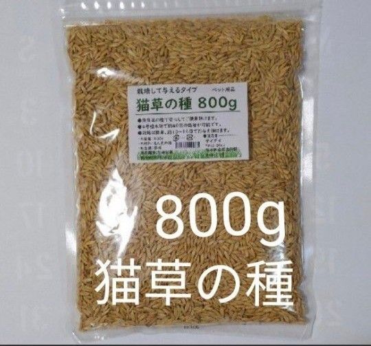 【40回分】猫草の種800g 食べられる草の種 農薬不使用 安心 毛玉ケア