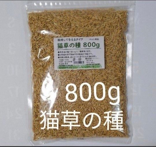 【40回分】猫草の種800g 食べられる草の種 農薬不使用 安心 毛玉ケア