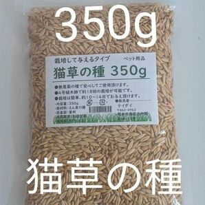 【17回分】猫草の種350g 食べられる草の種 農薬不使用 ペットの健康 エン麦