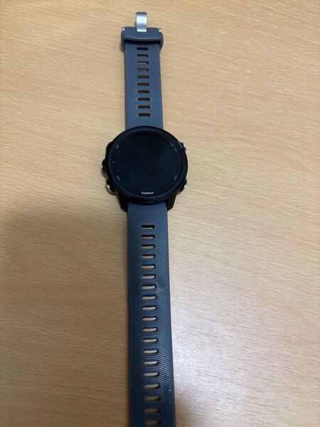 GARMIN ForeAthlete245