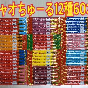 いなば チャオちゅーる 12種60本