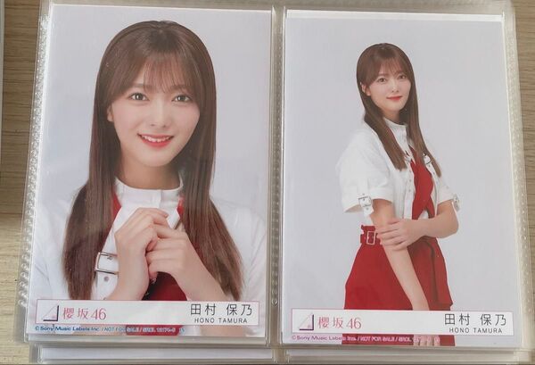 櫻坂46 生写真 コンプ 田村保乃ちゃん アルバム封入